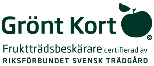 Utbildad beskärning Fruktträd